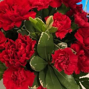 Meet your Posher, Anush